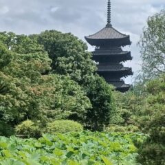 東寺